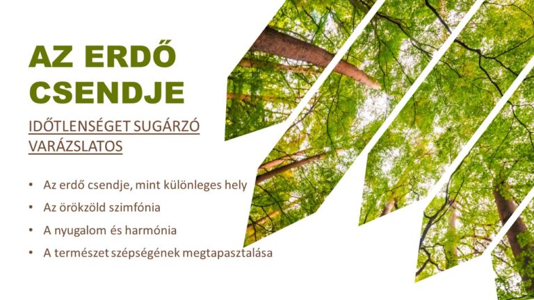 referencia, erdő részlet prezentációból